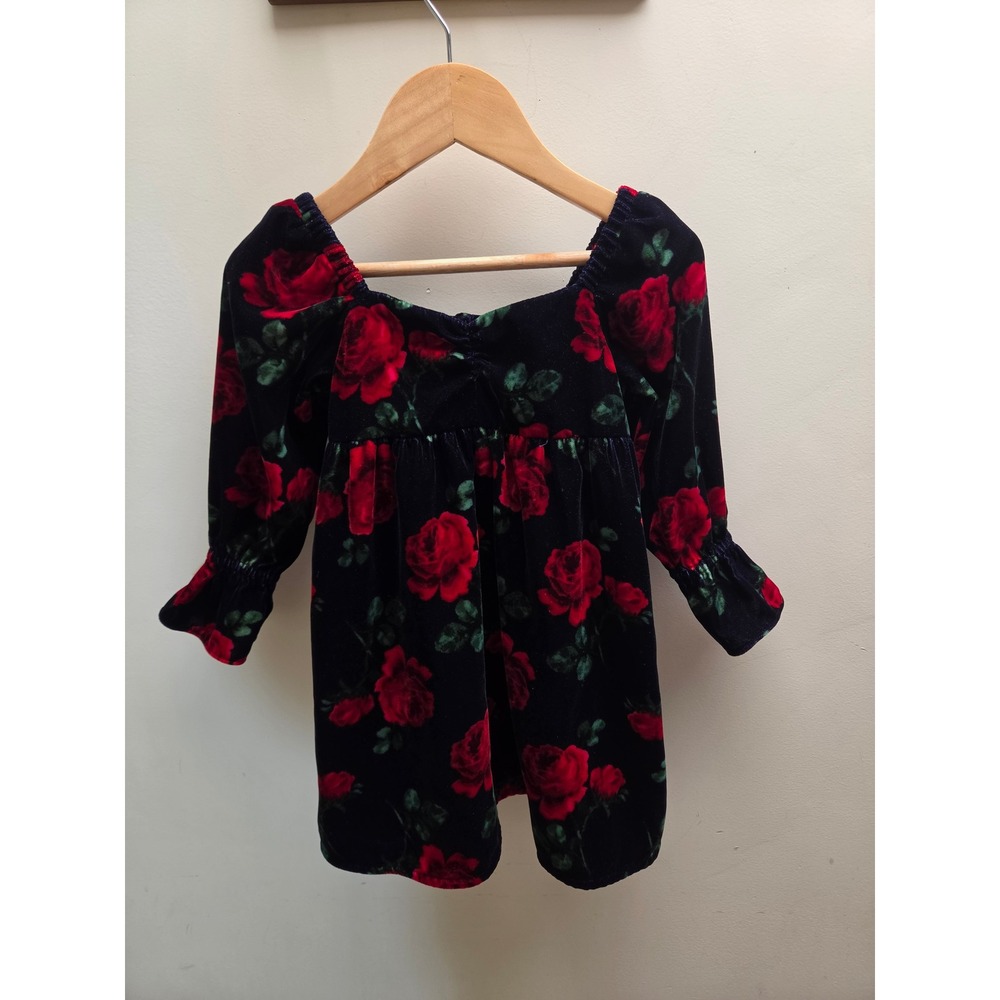 Janie and Jack Girls 2T black Red Rose Floral Velvet Holiday Dress Sleeve